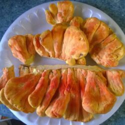 Chicken of the woods recipe